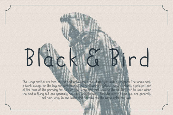 Black & Bird: Crafting Nostalgic Brand Narratives