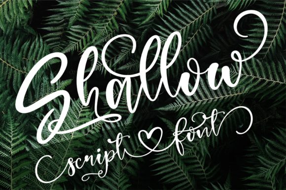 Shallow Font: Elevate Your Design with Elegant Typography